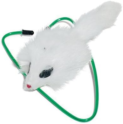 A-Door-Able Bouncing Mouse Rattle and Catnip Toy