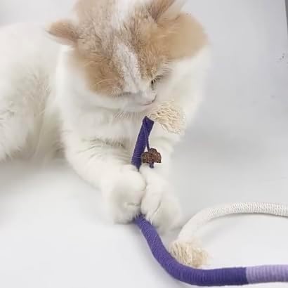 AcceLeah Cat Worm Toy Refills Cats Teaser Toys Wand Replacement,Cat Worms and Dragonfly Refill,Cat Wand Toy Assorted Teaser Refills with Bell (6Pcs Random Color Set)