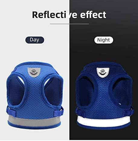 Comfort Step-in Cat Dog Harness and Leash Set for Puppies Cats Kitty Escape Proof Pet Vest Harnesses for Small Animals Rabbit/Mouse/Cats (S:1.5-3KG, Blue)