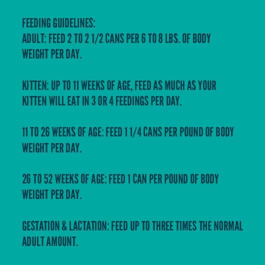 A Strong Heart Canned Wet Cat Food, Salmon Dinner Paté - 3 oz Cans (Pack of 24), Made in The USA with Real Salmon