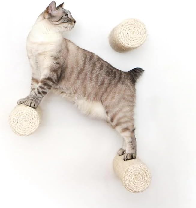 Catastrophic Creations Floating Cat Scratching Post, Hand-Crafted Sisal Cat Scratcher Post, Wall Cat Shelves & Scratching Posts for Indoor Cats, Durable & Modern Cat Furniture (3 Pc)