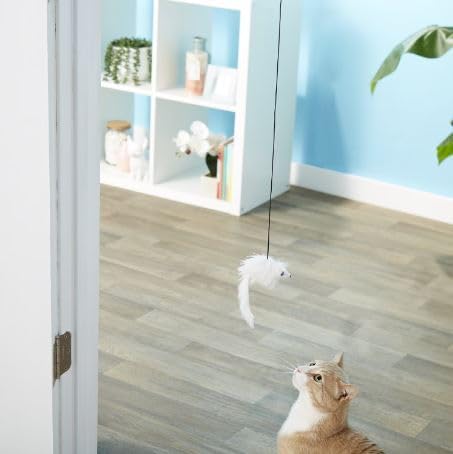 A-Door-Able Bouncing Mouse Rattle and Catnip Toy