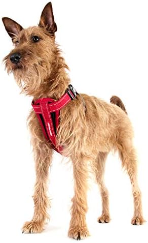 EzyDog Premium Chest Plate Custom Fit Reflective No-Pull Padded Comfort Dog Harness - Perfect for Training, Walking, and Control - Includes Car Restraint Attachment (X-Small, Gray)