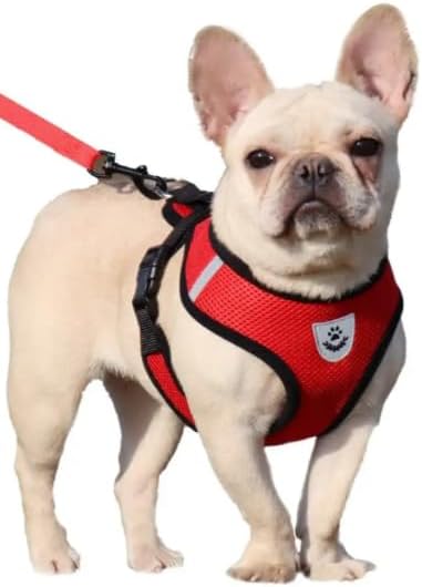 Step-in Dog, Cat, and Puppy Harness and Leash | All Weather Mesh | Reflective Harness & Leash for Small Dogs and Cats (Blue, Extra Large)