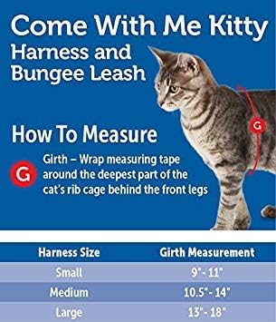 PetSafe Come with Me Kitty Harness and Bungee Leash, Large, Lilac