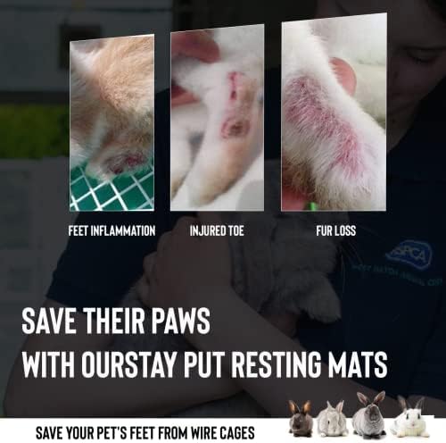 Saguaro Acres Rabbit and Small Animal Cage Resting Mat for Wire Floored Cages - Pack of 6 (Teal and Purple)