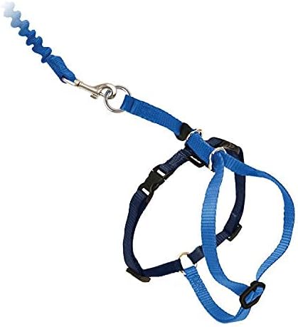PetSafe Come with Me Kitty Harness and Bungee Leash, Medium, Royal Blue