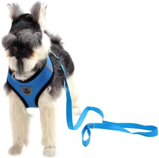 Step-in Dog, Cat, and Puppy Harness and Leash | All Weather Mesh | Reflective Harness & Leash for Small Dogs and Cats (Blue, Large)
