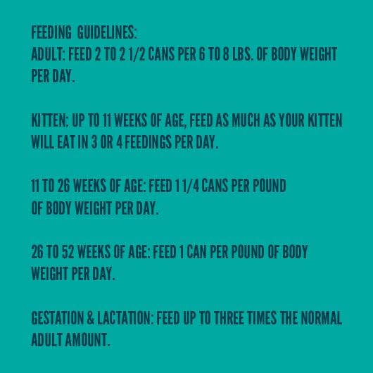 A Strong Heart Canned Wet Cat Food, Beef Dinner Paté - 3 oz Cans (Pack of 24), Made in The USA with Real Beef