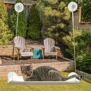 Cat Window Perch, Cat Window Hammock, Window Perch for Cats Inside Up to 50lbs