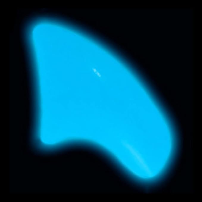 40 Pack Soft Nail Caps for Cat Claws Blue Glow in The Dark Kitten