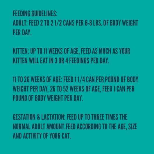 A Strong Heart Canned Wet Cat Food, Chicken Dinner Paté - 3 oz Cans (Pack of 24), Made in The USA with Real Chicken