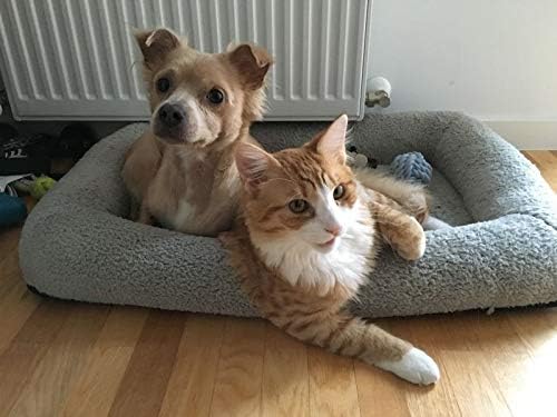 Enjoying Plush Cat Bed Mat, 16" x 22", Self Warming Cat Bed with Pillow Around, Dog Kitty Relying/Curling Sleep Cushion, Warm Bed for Small to Medium Dogs Cats Rabbits, Antiskid Bottom, Medium