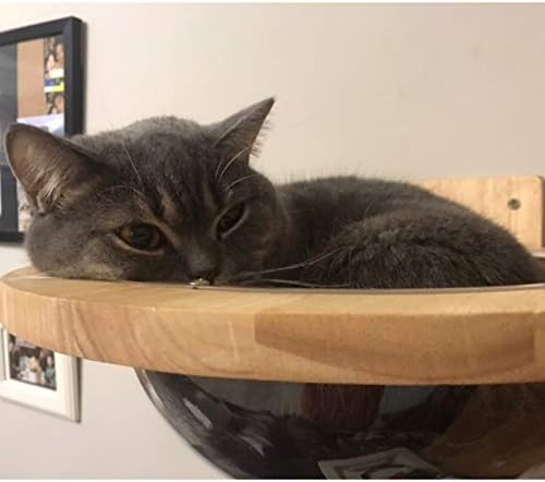Wall-Mounted Wooden Space Clear Capsule Cat Bed Small Pets Bed Toy Furniture(Large Capsule)