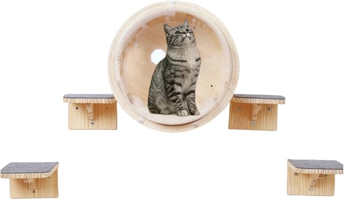 Wall-Mounted Cat Bed Furniture Round Space Capsule Acrylic Cat Perch Steps Cat Wooden Shelf Cat Lover Gift Cat Tree Tower-Side Stripe Style-1