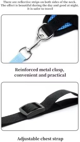 Step-in Dog, Cat, and Puppy Harness and Leash | All Weather Mesh | Reflective Harness & Leash for Small Dogs and Cats (Red, Large)