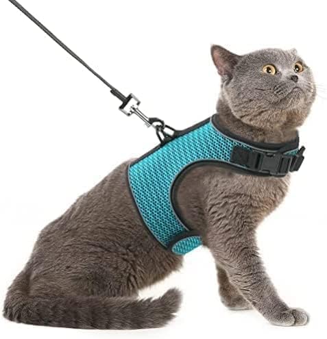 PUPTECK Soft Mesh Cat Vest Harness and Leash Set Puppy Padded Pet Harnesses Escape Proof for Cats Small Dogs (Large, Lake Blue)