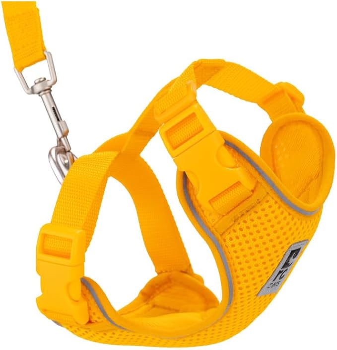 RC Pet Products Adventure Kitty Harness, Cat Walking Harness, Medium, Marigold (53804198)