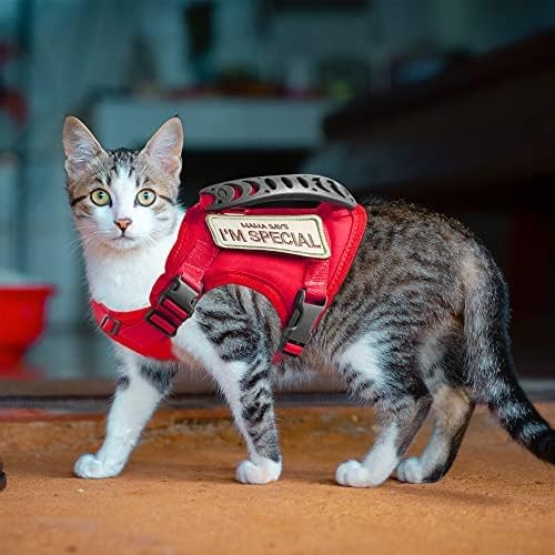 Tactical Cat Harness for Walking Escape Proof, Adjustable Pet Vest Harness, Soft Mesh with Control Handle for Large Cat Small Dog, Gift with Patch