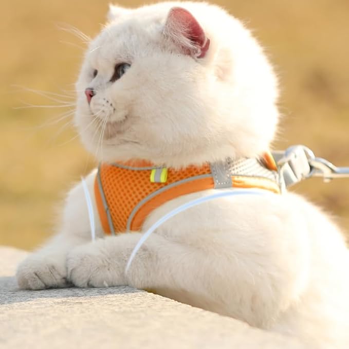 Cat Harness and Leash Set Soft Adjustable Escape Proof Cat Leash Breathable Comfortable Vest Easy to Wear Kitten/Small Dogs Harness for Outdoor Walking Orange L