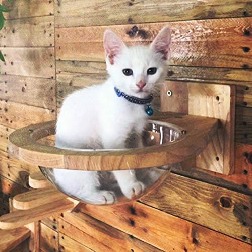 Wall-Mounted Wooden Space Clear Capsule Cat Bed Small Pets Bed Toy Furniture(Large Capsule)