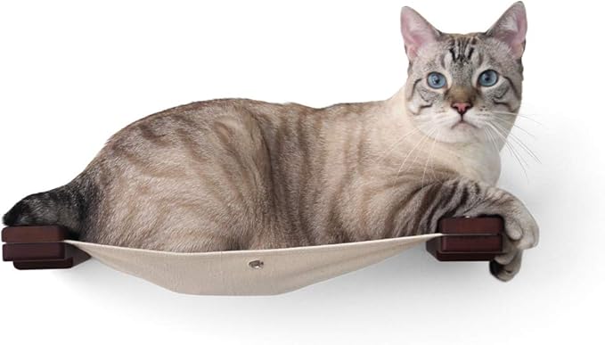 CatastrophiCreations Cat Lounge Hammock Wall Mounted Lounger for Climb and Play Furniture Cat Tree Shelve
