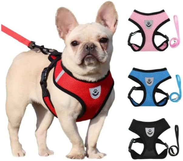 Step-in Dog, Cat, and Puppy Harness and Leash | All Weather Mesh | Reflective Harness & Leash for Small Dogs and Cats (Pink, Extra Large)