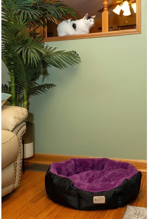 Armarkat Large, Soft Cat Bed - C101NH/ZH, Mulberry/Black (C101HNH/ZH)