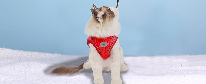 Cat Harness and Leash for Walking, Escape Proof Soft and Breathable Adjustable Vest Harness for Cats, Lightweight Easy to Control Medium Dog Kitten Harness, Comfortable Outdoor Jacket