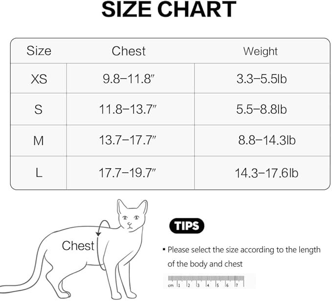 HEYWEAN Cat Harness and Leash - Ultra Light Escape Proof Kitten Collar Cat Walking Jacket with Running Cushioning Soft and Comfortable Suitable for Puppies Rabbits