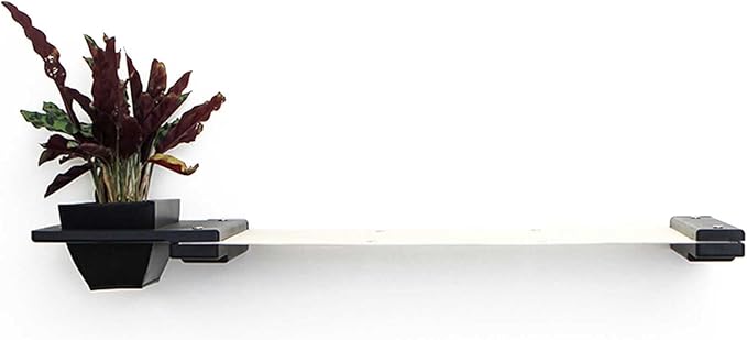 Catastrophic Creations Cat Planter Lounge Cat Hammock — 33-Inch Black/Natural Canvas— Cat Wall Shelf— Cat Wall Furniture — Cat Climbing Shelves — Cat Floating Shelves — Cat Wall Hammock