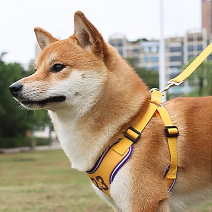 Reflective Dog Vest Harness Breathable Adjustable Pet Harness -Adjustable Reflective Number Dogs Vest with Outdoor Pet Leash, Easy Control for Small,Medium Breeds (Yellow,L)