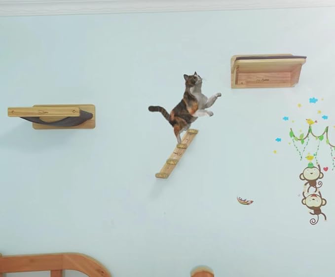Story of Naughtiness, Cat Wall Set, Cat Furniture Set, Cat Climbing Step, Cat Hammock, Cat Floating Shelf, Wall Mounted, Cat Wall Furniture, 3 Pack Cat Wall Shelves Set
