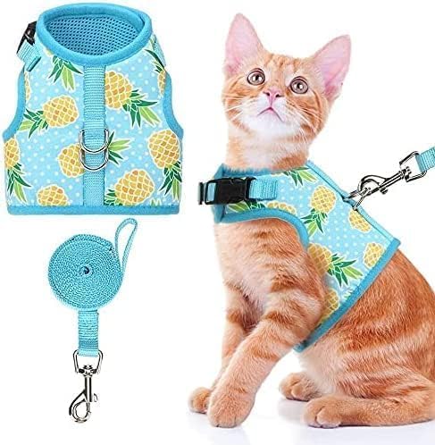 BINGPET Cat Harness with Leash Escape Proof - Fashionable Mesh Cat Dog Walking Harness Leads, Adjustable for Kitties Puppies Small Animals