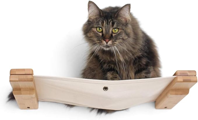 CatastrophiCreations Cat Lounge Hammock Wall Mounted Lounger for Climb and Play Furniture Cat Tree Shelve