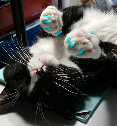 40-Pack Soft Nail Caps for Cat Claws Blue Glow-in-The-Dark (Large)
