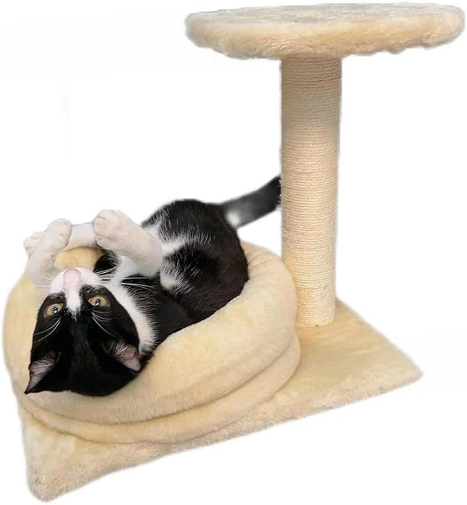 Cat Grabbing Post with Interactive Plush Mouse Toy Comes with a Cozy Private cat Bed Perfect for Kittens and Small to Medium Cats.