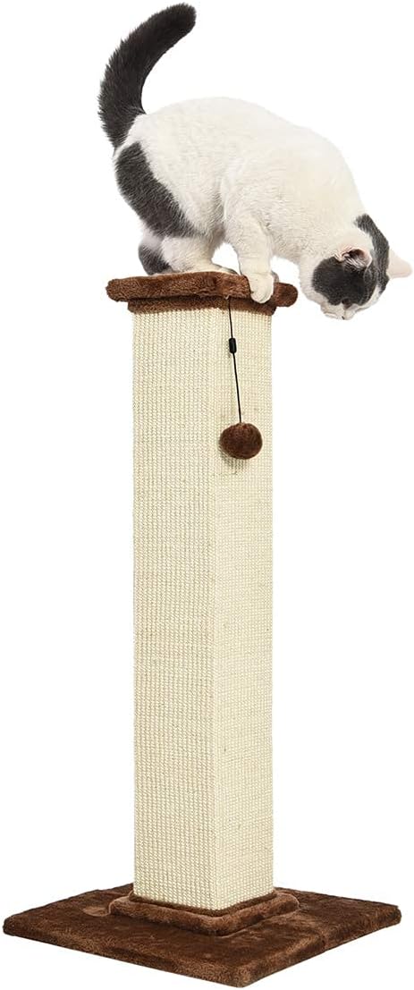 Amazon Basics - Indoor, Tall Cat & Kittens Scratching Post, Scratcher with Sisal Rope, Jute Fiber, Brown Carpet, Large, 15.75" L x 15.7" W x 35.43" H