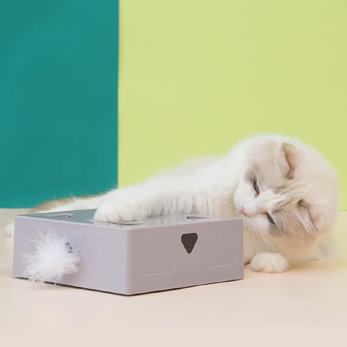 4Pcs Random Color Interactive for Cat Bauble Funny Simulation Feather Replacements for Head Stick Bauble for Head for Kitten Playing Teaser Interactive Cat Bauble for Indoor Cats Motion Feather Toys