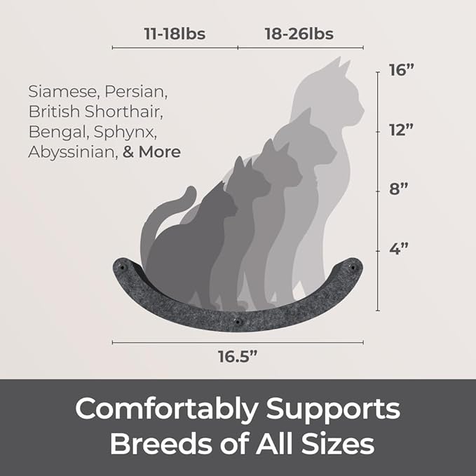 Pryde Pets Wall Mounted Cat Shelves - Set of 4 - Cat Wall Furniture to Enrich Your Feline. Modular and Modern Designed Cat Furniture for Indoor Cats (Charcoal)