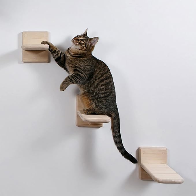 3 PCS Cat Wall Shelves,Wood Cat Wall Steps Cat Climber - Cat Wall Climbing Ladder, Wall Mount Cat Climbing Shelves, Cat Perch for Wall, Cat Hammock Bed, Indoor Cat Wall Furniture (3 PCS)