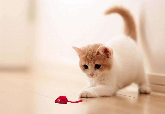 20 I Love You Romantic Cat Mice Toys with Catnip and Rattle Sound Made of Real Rabbit Fur Interactive Catch Play Mouse Toy for Cat, for St Valentine's Day, Anniversary, New Year