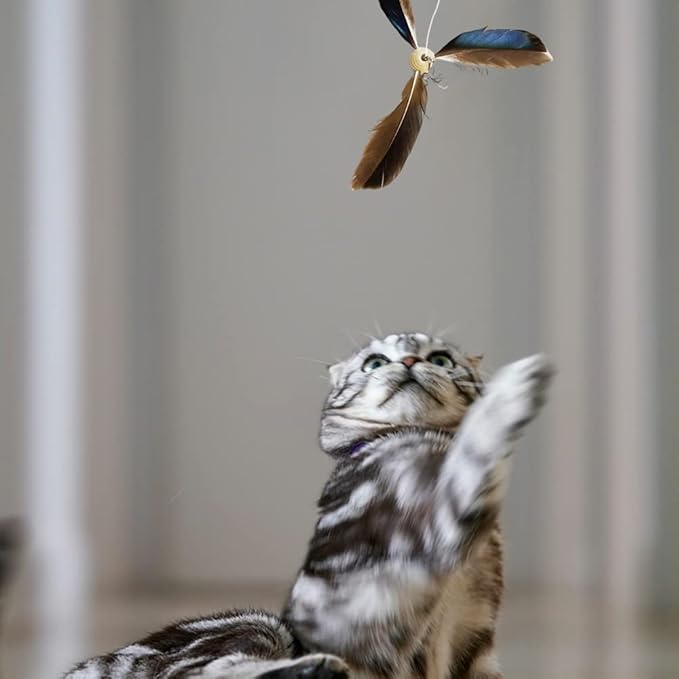 6pcs Cat Wand Attachment, Spining Propeller Cat Toys, Cat Propeller Toy with Bell, Replacement Artificial Feather, Indoor Cat Toy, Cat Interactive Toy(Brown)