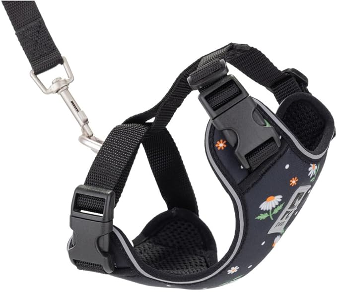 RC Pet Products Adventure Kitty Harness, Cat Walking Harness, Small, Daisies (53803347)