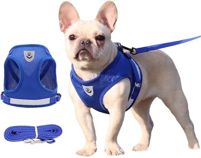 Comfort Step-in Cat Dog Harness and Leash Set for Puppies Cats Kitty Escape Proof Pet Vest Harnesses for Small Animals Rabbit/Mouse/Cats (S:1.5-3KG, Blue)