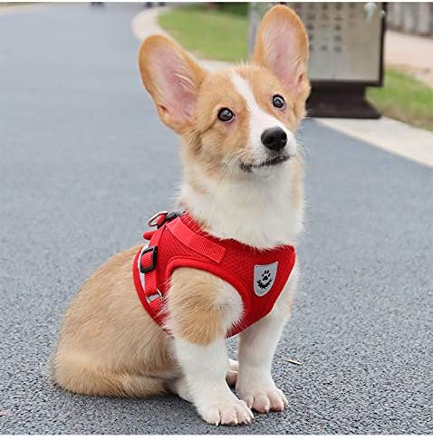 Comfort Step-in Cat Dog Harness and Leash Set for Puppies Cats Kitty Escape Proof Pet Vest Harnesses for Small Animals Rabbit/Mouse/Cats (L:5-7KG, Red)