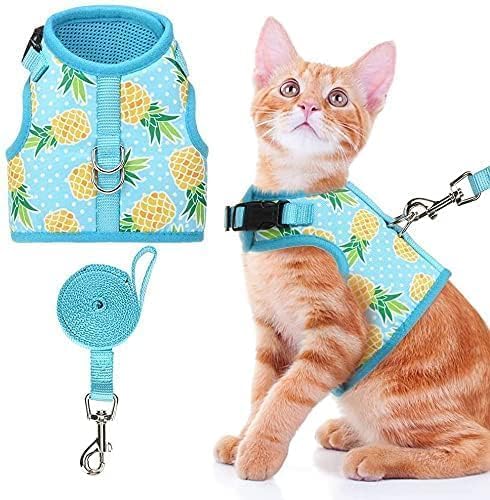 BINGPET Cat Harness - with Leash Included - Mesh Cat Dog Walking Harness Adjustable Harness for Kitties Puppy Harness Adjustable Cat Vest Harness Pineapple