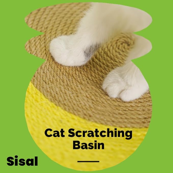 Fruit Cat Scratching Board,Sisal Cat Scratching Board,Orange Cat Litter,Fruit Coconut Cat Scratching Basin,Green Cat Bed,Watermelon Cat Scratching Board,Wear-Resistant Cat Cat Products (Avocado)