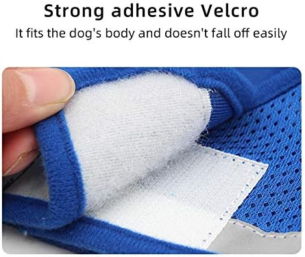 Comfort Step-in Cat Dog Harness and Leash Set for Puppies Cats Kitty Escape Proof Pet Vest Harnesses for Small Animals Rabbit/Mouse/Cats (S:1.5-3KG, Blue)