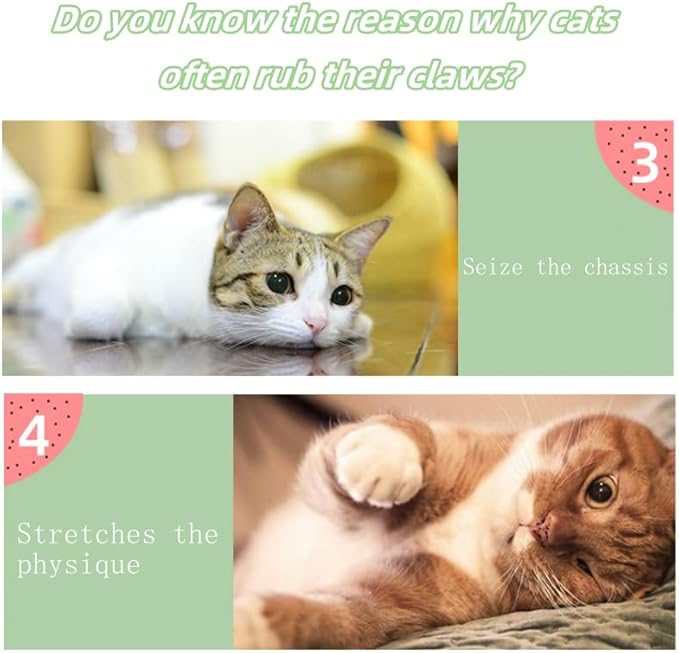 Fruit Cat Scratching Board,Sisal Cat Scratching Board,Orange Cat Litter,Fruit Coconut Cat Scratching Basin,Green Cat Bed,Watermelon Cat Scratching Board,Wear-Resistant Cat Cat Products (Watermelon)